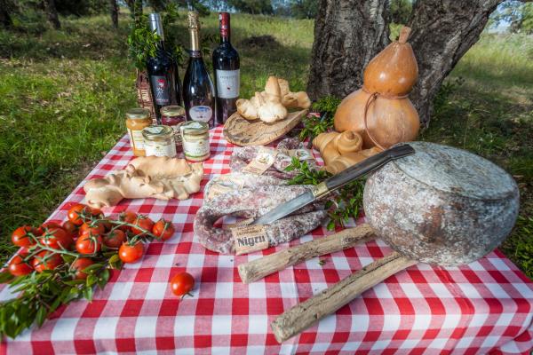 A picnic table is set with various foods, including tomatoes, cheeses, jars of preserves, and fresh bread. Several bottles of red wine are displayed, along with a knife resting on a large cheese wheel. The setting is outdoors on a green lawn with trees in the background.